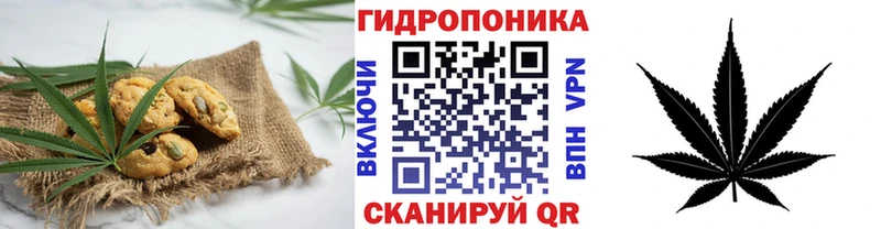 Купить закладки  Камбарка  Еда ТГК марихуана 