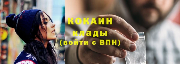 гашик Богородск