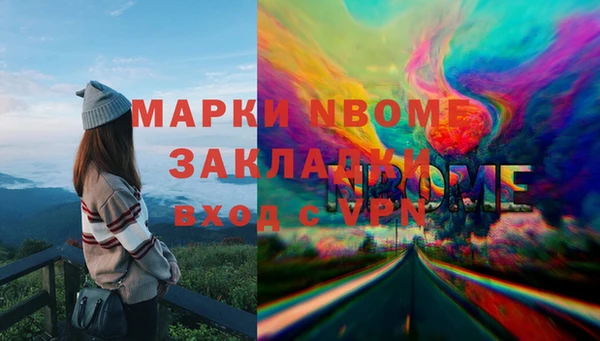 гашик Богородск