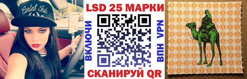Купить закладки  Камбарка  Наркотические марки 1500мкг 
